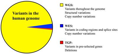 Uses of Next-Generation Sequencing Technologies for the Diagnosis of Primary Immunodeficiencies